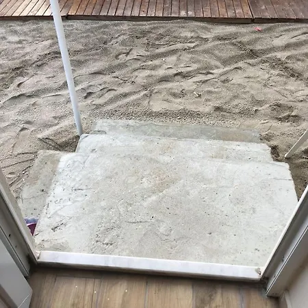 Appartement Entire On The *